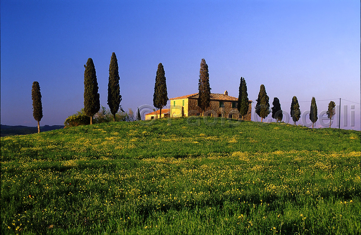 Hill, Tuscany, Italy
 (cod:Tuscany 28)